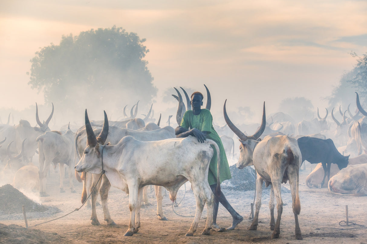 Dinka herder Poster och Canvastavla