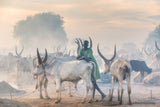 Dinka herder Poster och Canvastavla