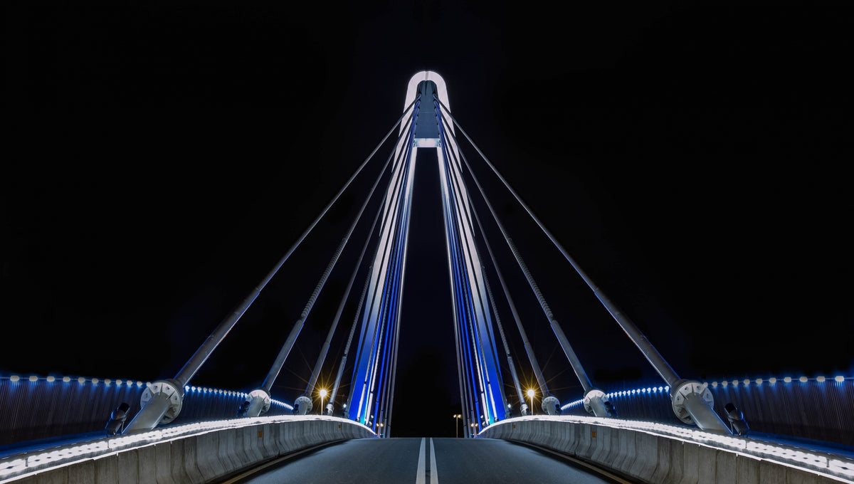 The Bridge Poster och Canvastavla