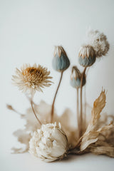 Dry Flower Impression Poster och Canvastavla
