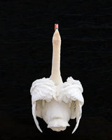 Swan Poster och Canvastavla