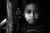 African beauty Poster och Canvastavla