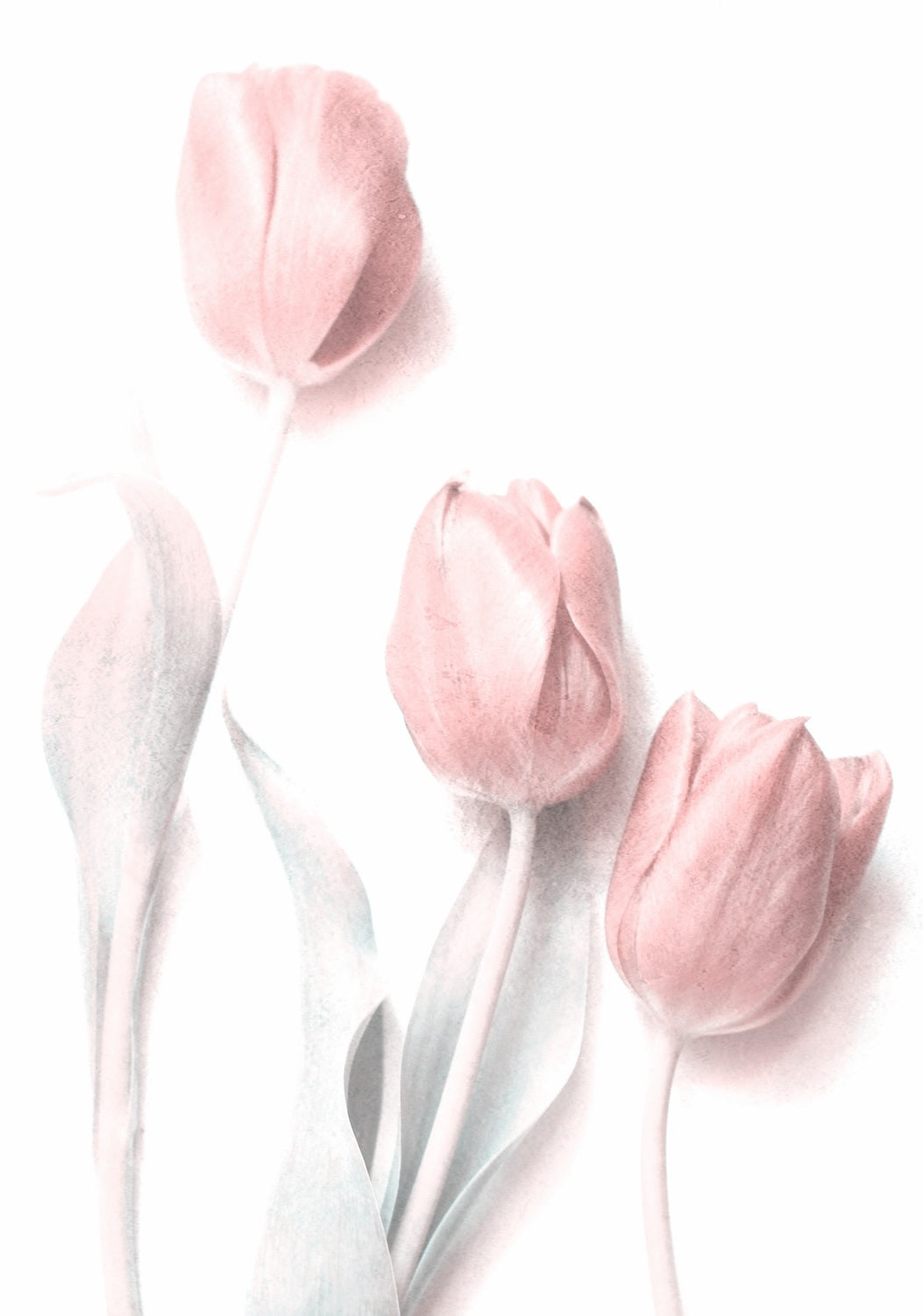 Sweet Pink Poster och Canvastavla