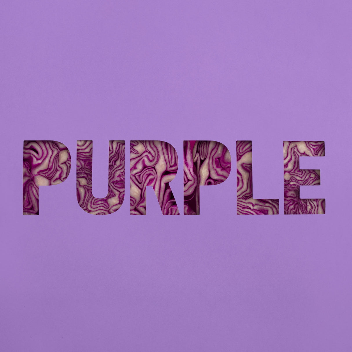Purple Poster och Canvastavla