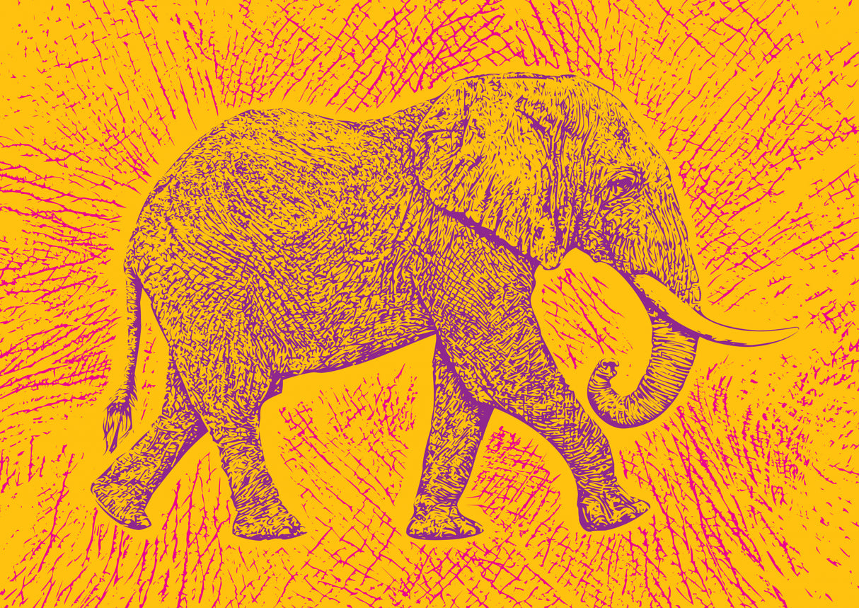 Africa Elephant texture pattern Poster och Canvastavla