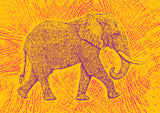 Africa Elephant texture pattern Poster och Canvastavla
