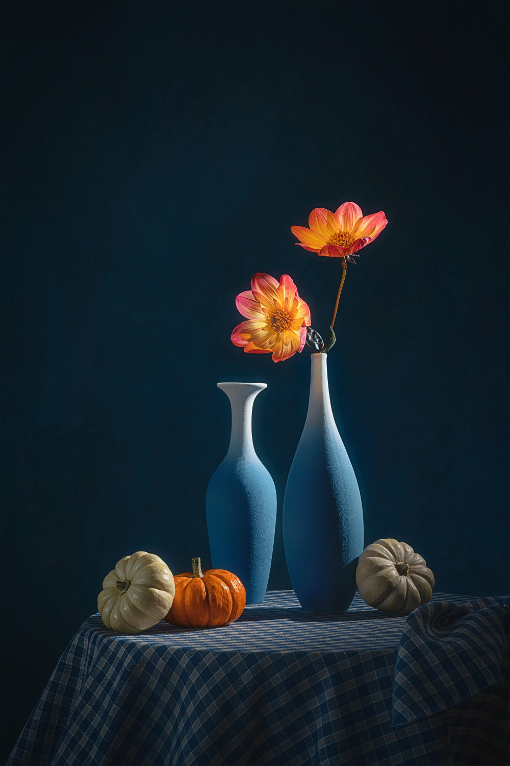 Dahlia and Squash Poster och Canvastavla