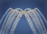 Snowbirds in my mind Poster och Canvastavla