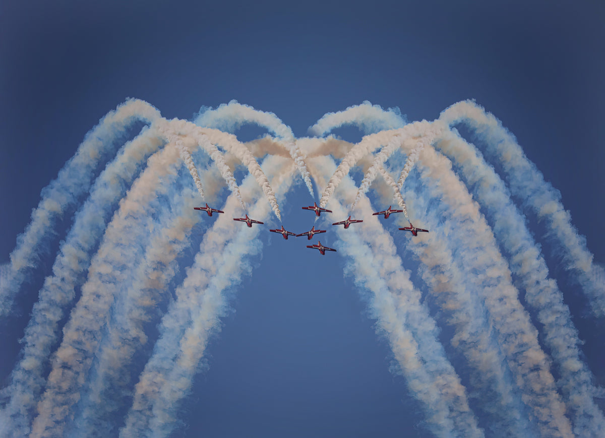 Snowbirds in my mind Poster och Canvastavla