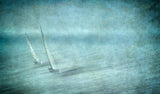 Windy weather Poster och Canvastavla
