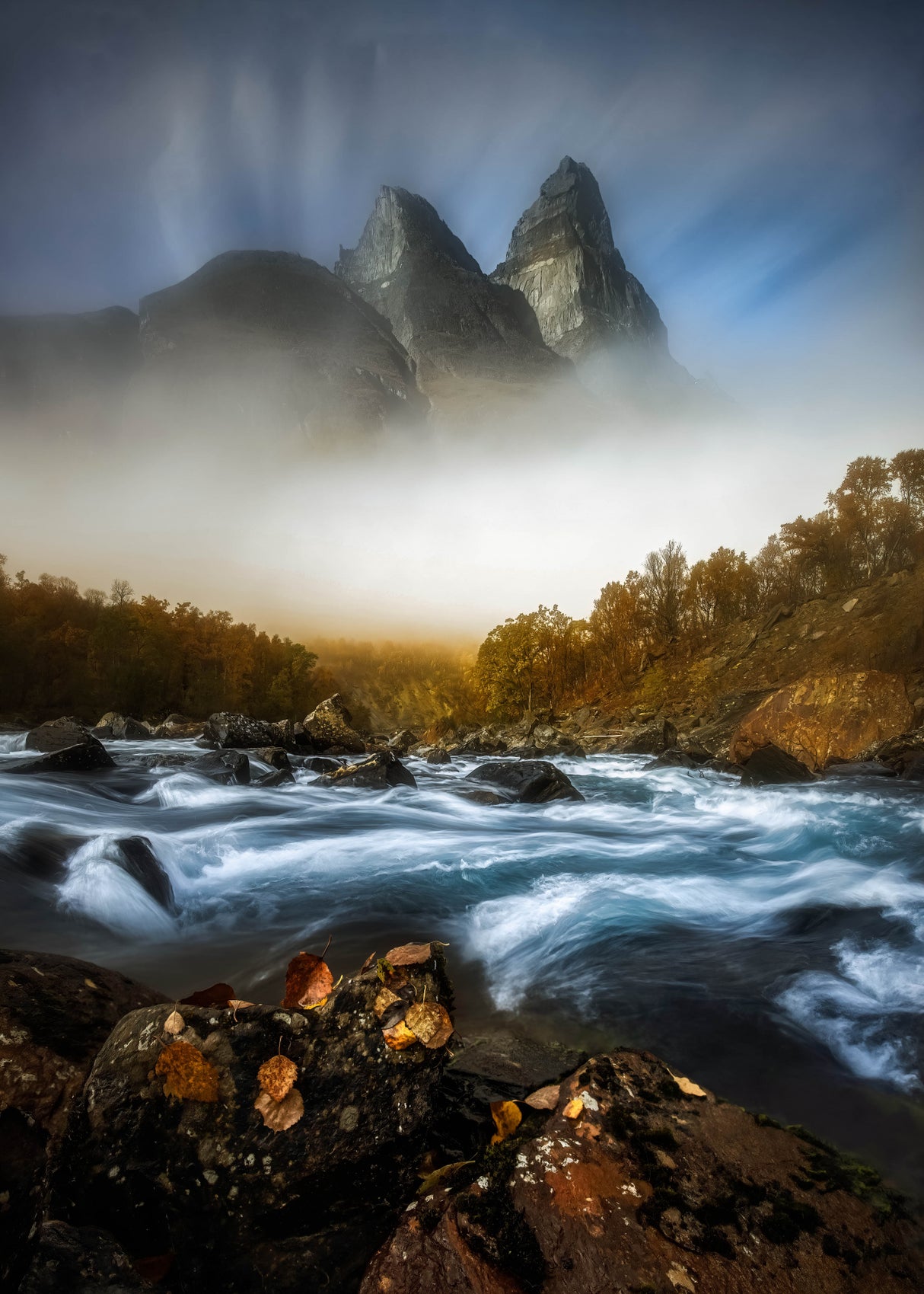 Autumn in Senja Poster och Canvastavla