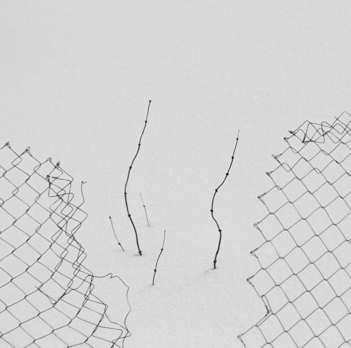 Dream Poster och Canvastavla
