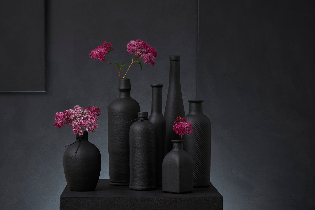 Spiraea Japonica Poster och Canvastavla