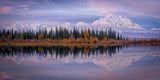 Denali Reflection Poster och Canvastavla