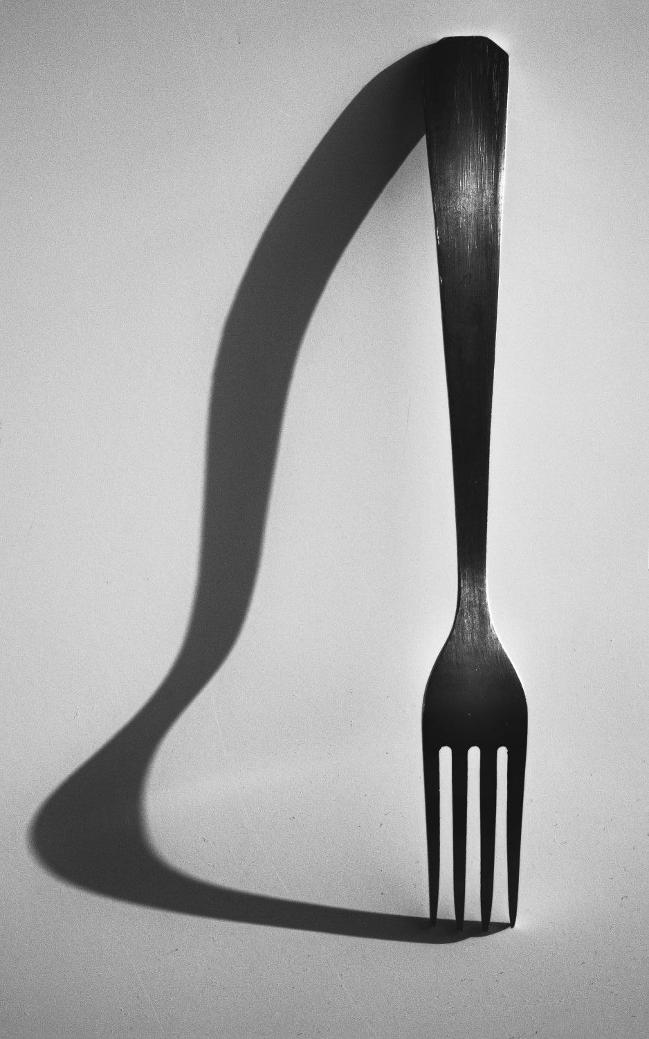 Fork Poster och Canvastavla