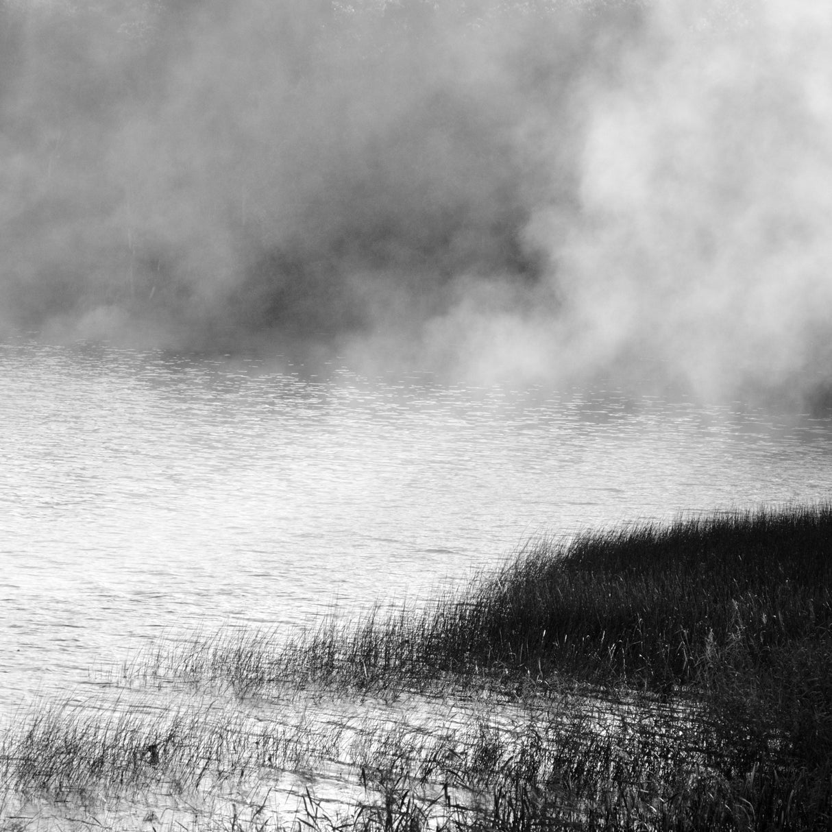 Lake in fog 2021 Poster och Canvastavla