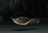 Fallen Poster och Canvastavla