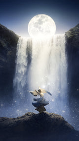 Dance under the moon Poster och Canvastavla
