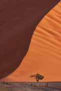 Dune 45 Poster och Canvastavla