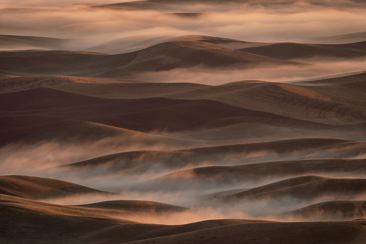 Early Spring Morning at Palouse Poster och Canvastavla