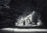 Night watchman lights Poster och Canvastavla