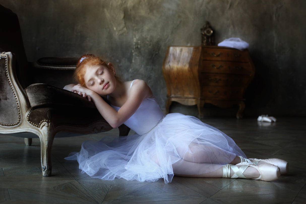 Dreams of the white swan Poster och Canvastavla