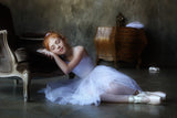 Dreams of the white swan Poster och Canvastavla
