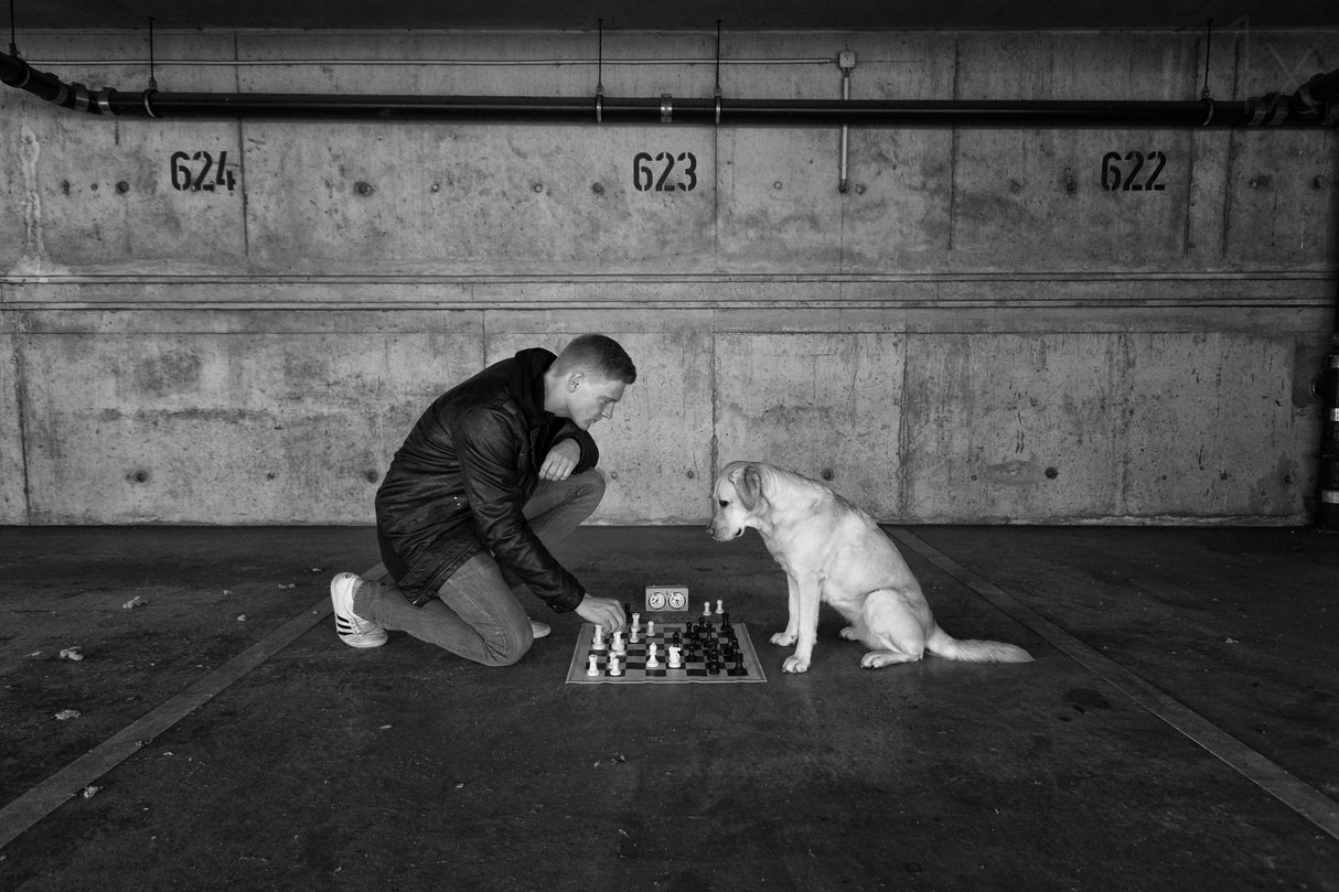 Playing Chess Poster och Canvastavla