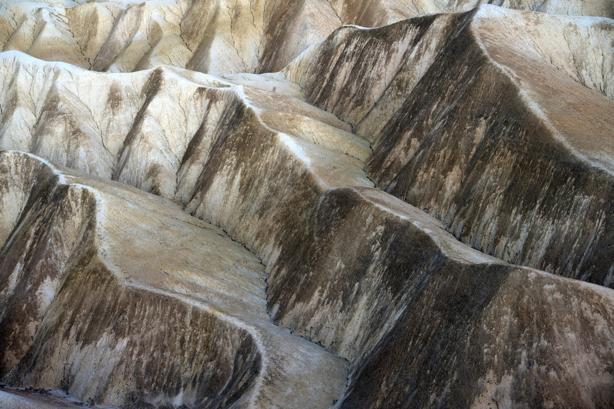 Grooves Poster och Canvastavla