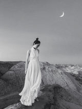moon Poster och Canvastavla