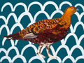 Gorgeous Grouse Poster och Canvastavla