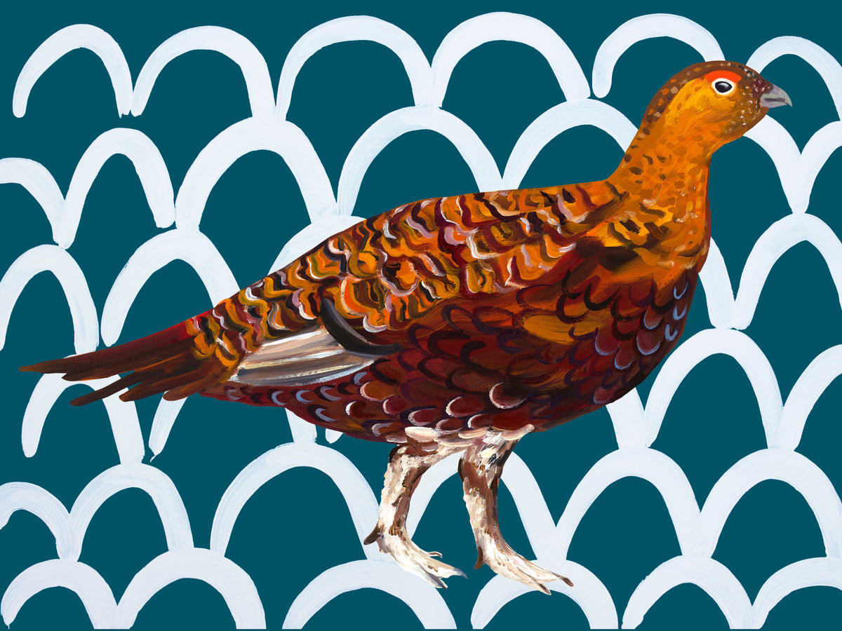 Gorgeous Grouse Poster och Canvastavla