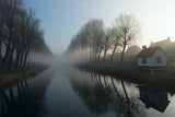 Mist across the Canal Poster och Canvastavla