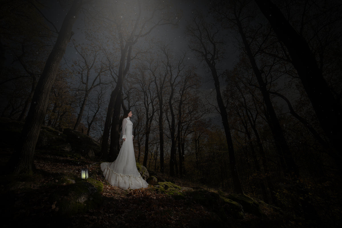 The Goddess Poster och Canvastavla