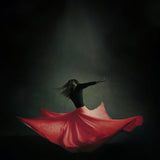 Iranian Dancer Poster och Canvastavla