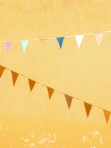 Mexican Flags Poster och Canvastavla