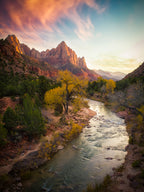 Zion National Park Poster och Canvastavla
