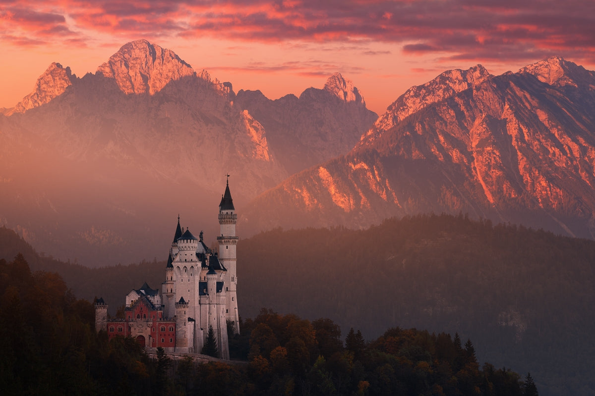 Red morning above the castle Poster och Canvastavla