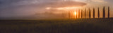 Tuscany Sunrising Poster och Canvastavla