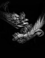 Autumn harvest Poster och Canvastavla