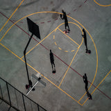 BASKET Poster och Canvastavla