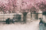 sweet spring Poster och Canvastavla