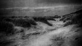 Between the dunes Poster och Canvastavla