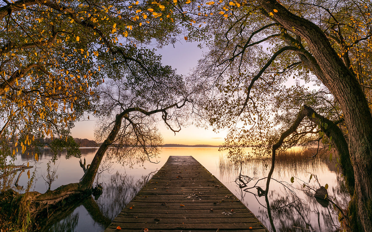 Autumn Poster och Canvastavla