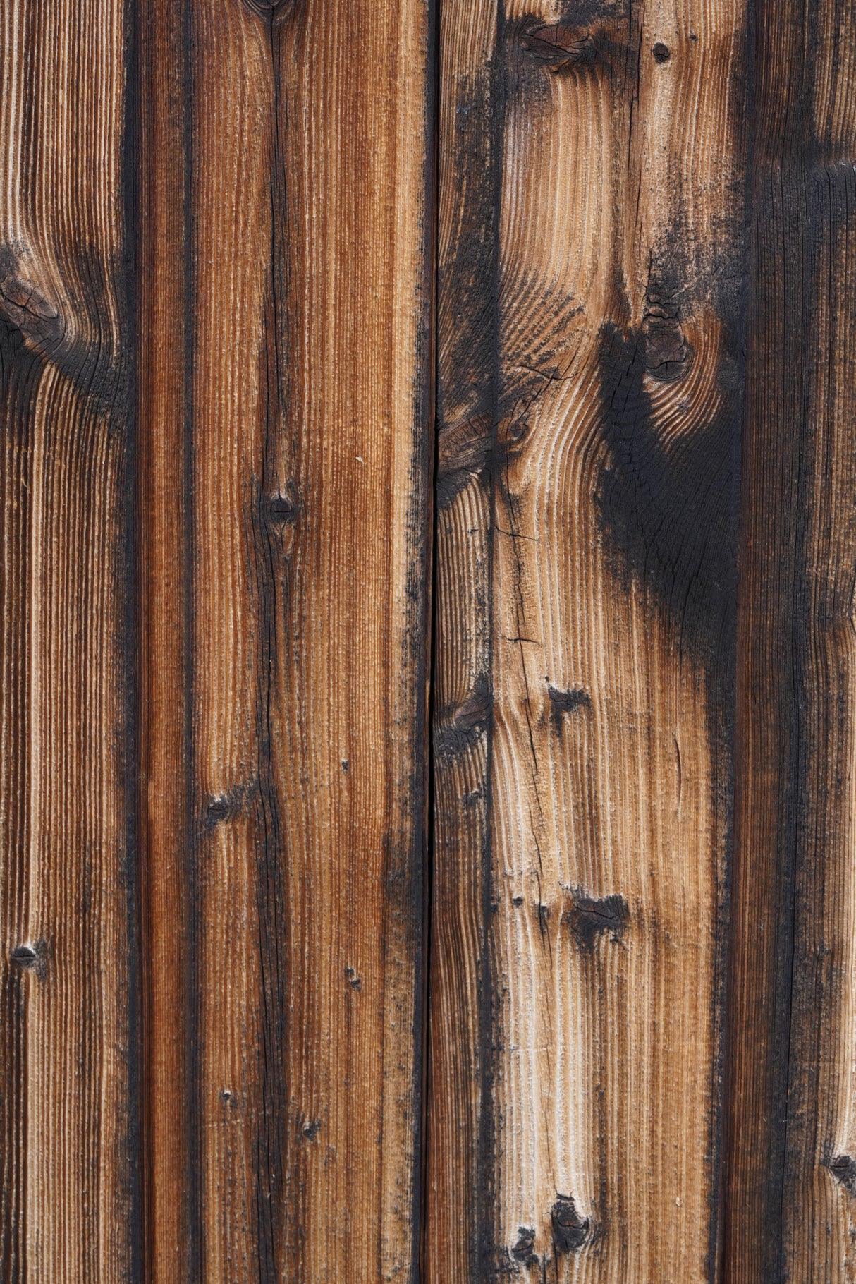 Tex Surface Wood 10 Poster och Canvastavla