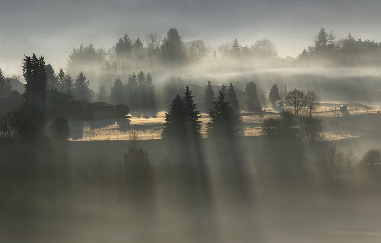 first rays of the sun Poster och Canvastavla