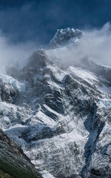 frozen verticals Poster och Canvastavla