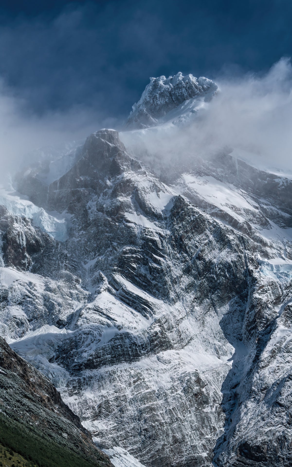frozen verticals Poster och Canvastavla