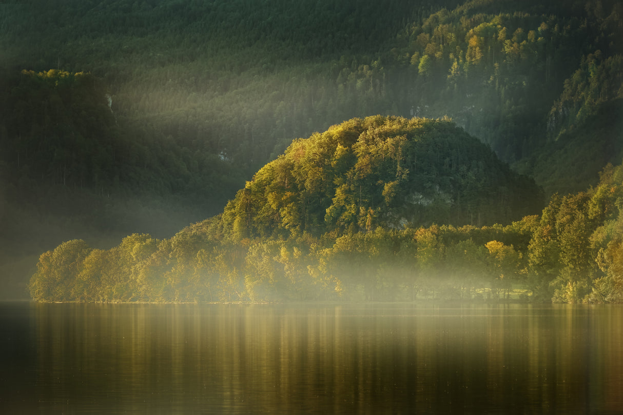 Foggy lake Poster och Canvastavla