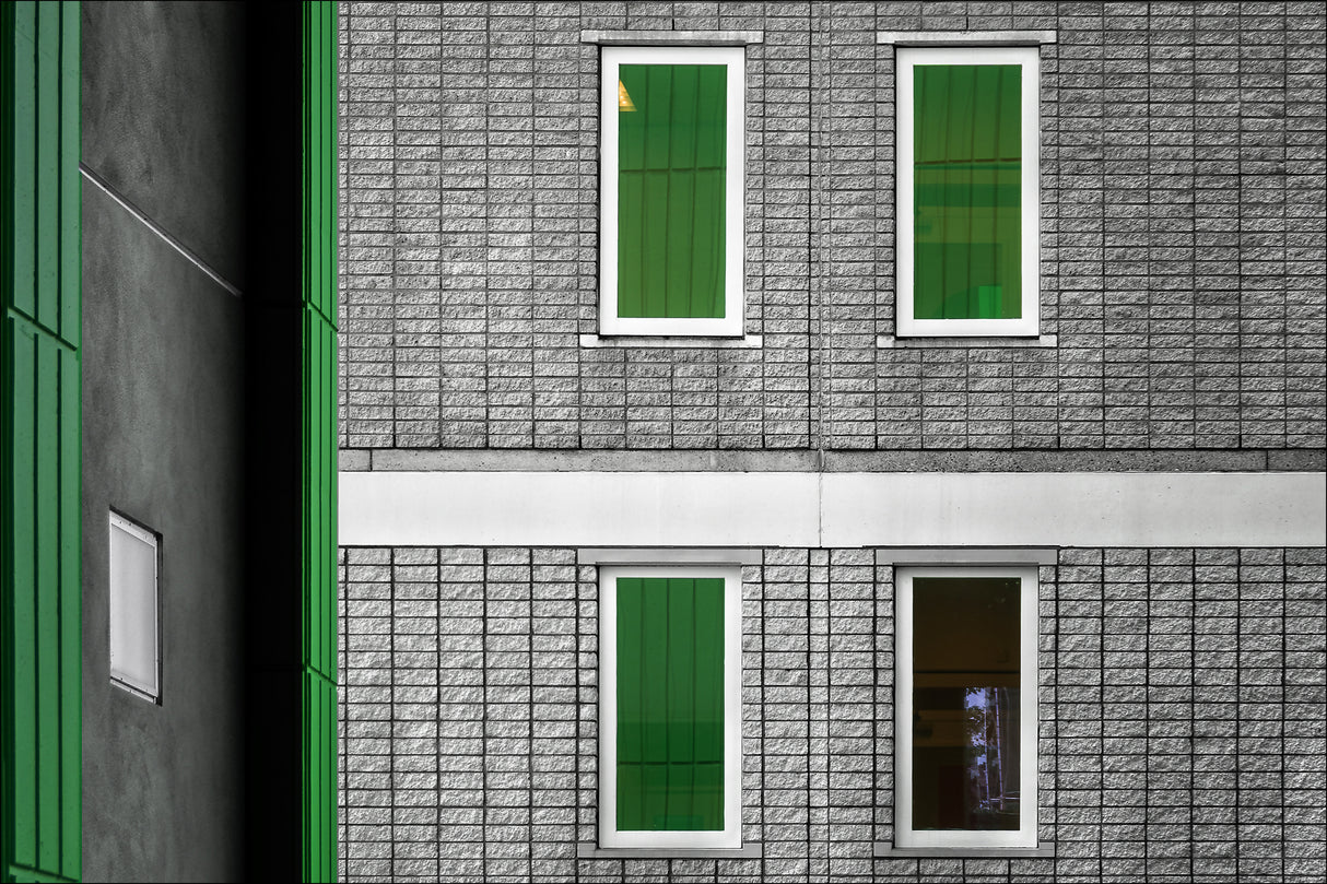 Neighbors green.! Poster och Canvastavla